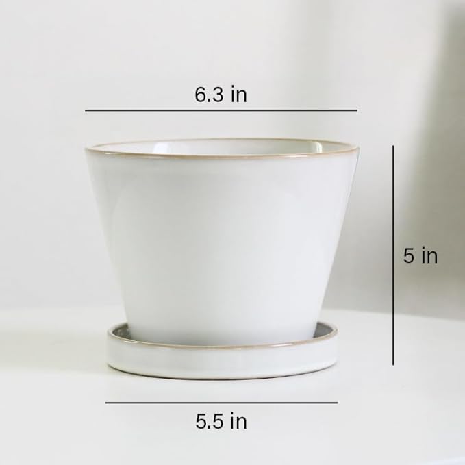 Glazed Ceramic Planter with Drainage Hole & Saucer for Indoor Tropical Plants, Reactive Glaze Plant Pot (White, 6")
