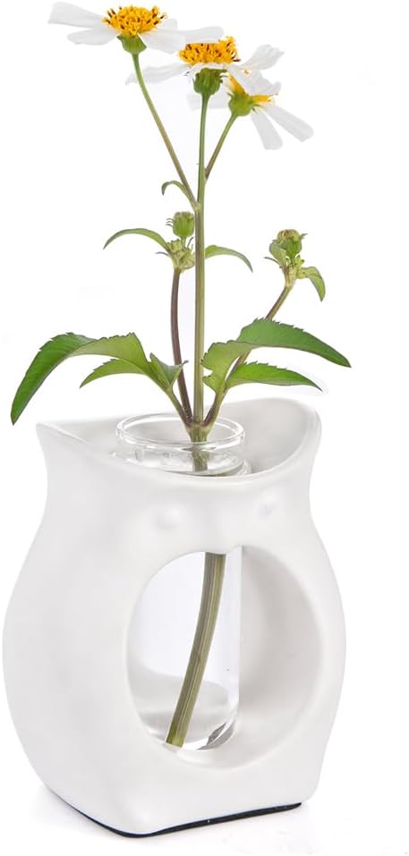 2-in-1 Ceramic Plant Propagation Station with Glass Jars, Owl Planter & Air Plant Holder, Avocado Seed Starter Vase for Indoor Plants, Home Office Decor Gift for Plant Lovers