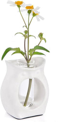 2-in-1 Ceramic Plant Propagation Station with Glass Jars, Owl Planter & Air Plant Holder, Avocado Seed Starter Vase for Indoor Plants, Home Office Decor Gift for Plant Lovers