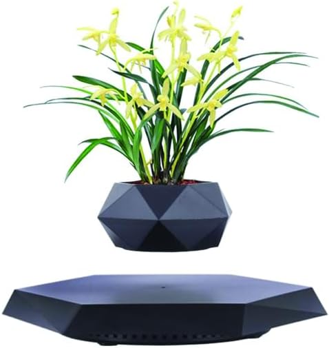 LMingKun Floating Plant Pot,Planting Flower pots,Levitating Plant Pot,Magnetic levitation,Floating Plant,Hanging Flower pots,Suspendded Flowerpot,Hanging planters (Black)