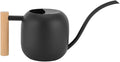 Small Watering Can for Indoor Plants, 45oz/1.2L Metal Watering Can with Long Spout, Wooden Handle for Comfortable Grip, Indoor Plant Watering Can, Decorative Mini Watering Can