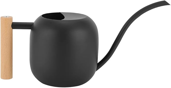 Small Watering Can for Indoor Plants, 45oz/1.2L Metal Watering Can with Long Spout, Wooden Handle for Comfortable Grip, Indoor Plant Watering Can, Decorative Mini Watering Can