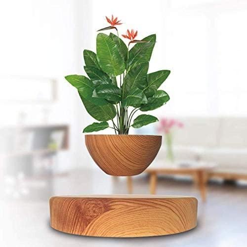 Levitating Plant Pot,Planting Flower pots,Magnetic levitation,Floating Plant Pot,Floating Plant,Hanging Flower pots,Suspendded Flowerpot,Hanging planters for Indoor Plants