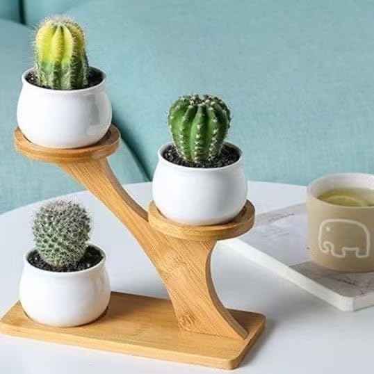 2-Tier Bamboo Plant Stand, Small Indoor Plant Holder for Desk, Multi Layer Flower Pot Display Shelf for Succulents, Cactus & Small Plants, Natural Wood Decorative Planter Rack