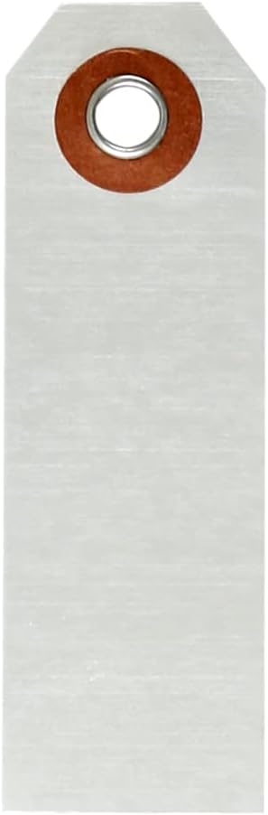 SmartSign (Pack of 100) 3.125 x 1 inch Write-on Indentable Blank Two-Sided Marking Tags, Dead-Soft Aluminum, Silver