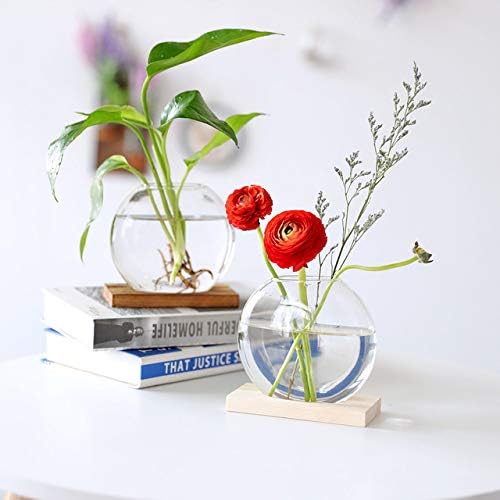 Kingbuy Round Glass Desktop Planter with Wooden Stand - Propagation Vase for Hydroponic Plants, Spider Plants, Pothos in Home Office Decor, 2-Pack, Beige