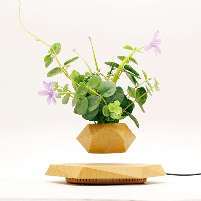 Levitating Plant Pot Hexagon Floating Air Bonsai Pot Suspension Flowerpot Planter for Office Home Decoration