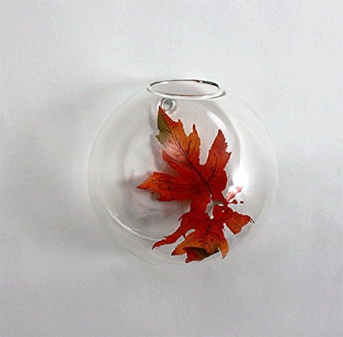 WGV Wall Hanging Planter Terrarium, Diameter 6", Clear Mounted DIY Succulents Air Glass Floral Container Vase, Tea Light Votive Candle Holder for Decoration 1 Piece