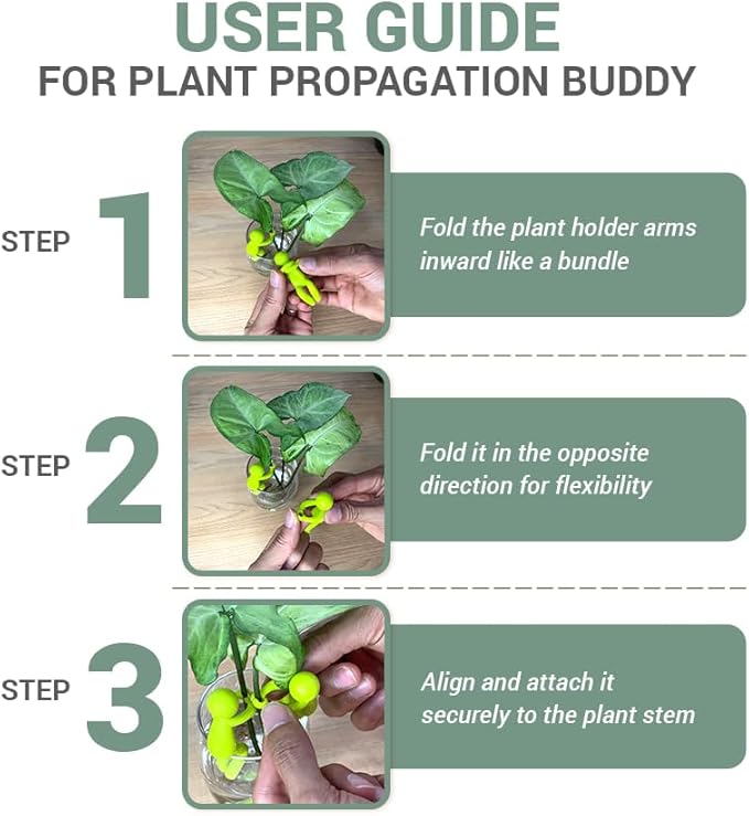 Plant Propagation Buddy – Plant Cutting Holders for Sprouts, Stems & Shoots, Cute & Sturdy Plant Supports for Indoor Gardens & Propagation Stations, for Plant Lovers (Multicolor)