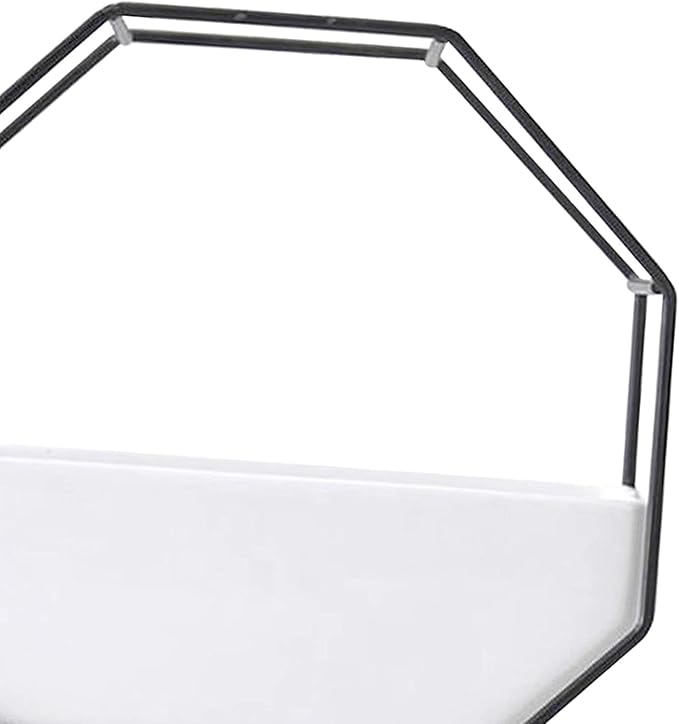 Modern Wall Planter Metal Wire Octagon Design Wall-Mounted Shelves with Ceramic Flower Pot Geometric Hexagon Wall Decor (Color : Black)