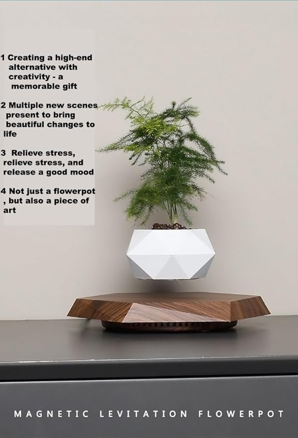 LMingKun Levitating Plant Pot - Floating Plant Pot for Small Plants. Levitating Decor for Home & Office Magnetic Floating Levitating Display (deep Wood Grain)