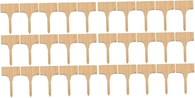 Kisangel Sets Succulent Plant Markers t Shape Thicken Bamboo Sturdy Seedling Label Sign for Outdoor Garden Pcs