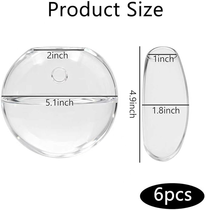 Wall Hanging Planter Propagation Station - 6-Pack Oblate Glass Flower Vases for Hydroponics Plants, Decorative Vases for Bathroom, Home, Office & Living Room, Good Gift