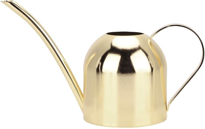Watering Can for Indoor Outdoor Plants, Stainless Steel Long Spout Watering Cans for House Plants Long Spout Water Can for Succulent Bonsai Garden Flower, 17oz/500ml (Gold)