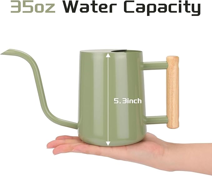 Metal Watering Can for Indoor Plants, 35oz Sage Green Cute Stainless Steel Pot with Long Spout for Indoor House Plants Bonsai Outdoor Garden Flower Decorative