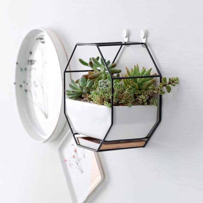 Hanging Plant Pots, Wall Planter Geometric Succulent Wall-Mounted Decor with Ceramic Flower Pot Hanging Vase Desktop Succulents Planter