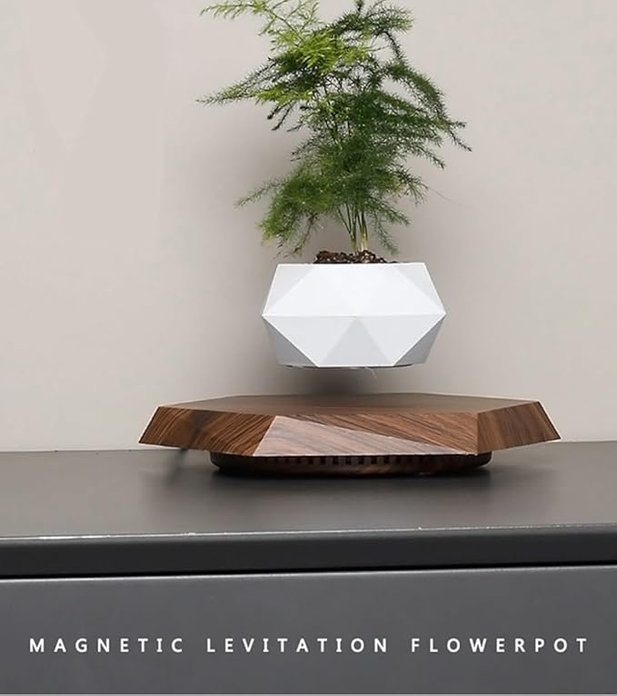 Planting Flower Pots, Leveling Plant Pot, Magnetic Activity, Floating Plant Pot, Floating Plant, Hanging Flower Pots, Suspended Flowpot, Planers