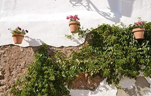 Darware Metal Wall Ring Planters with Pots (4-Pack, 8-Piece Set); Wall Mounted Clay Pots with Holders for Plants and Flowers
