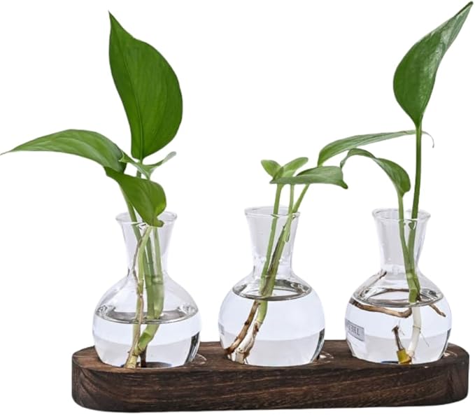 KUPOO Plant Propagation Station - Wooden Stand with Bulb Glass Vases, Ideal Planter Gift for Plant Lovers, Home & Office Decor