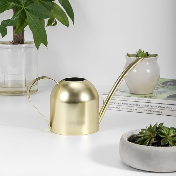 Stainless Steel Water Can for Indoor Plants and Garden (Gold 30 oz)