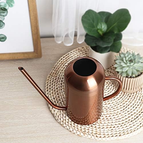 Watering Can, Stainless Steel Watering Pot for Outdoor and Indoor House Plants 40oz/1.3L, Bronze