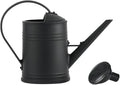 Watering Can Indoor Plants, 1/2 Gallon Modern Long Spout Large Capacity Plastic Watering Can with Removable Sprinkler Head and Handle,Small Watering Can for Garden House Plants Bonsai Flower