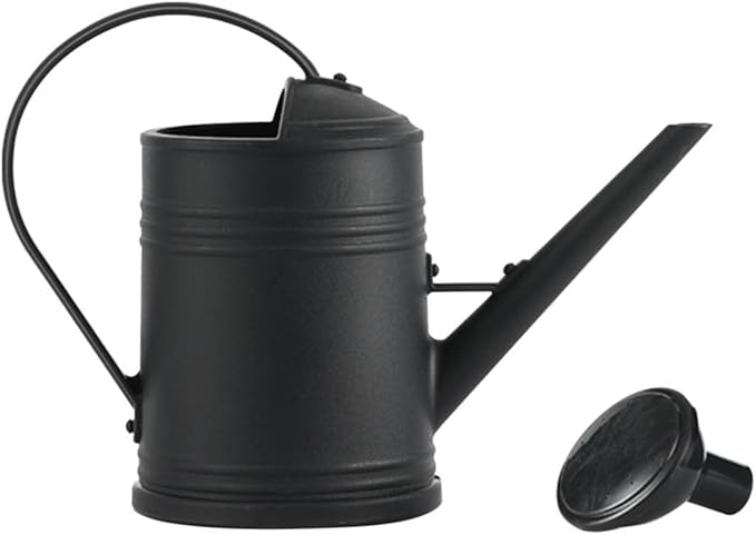 0.5 Gallon Watering Can Outdoor,Plastic Long Spout Watering Can with Removable Nozzle and Handles,Mini Watering Can for Office Indoor Plants Garden Flower Succulent Bonsai House