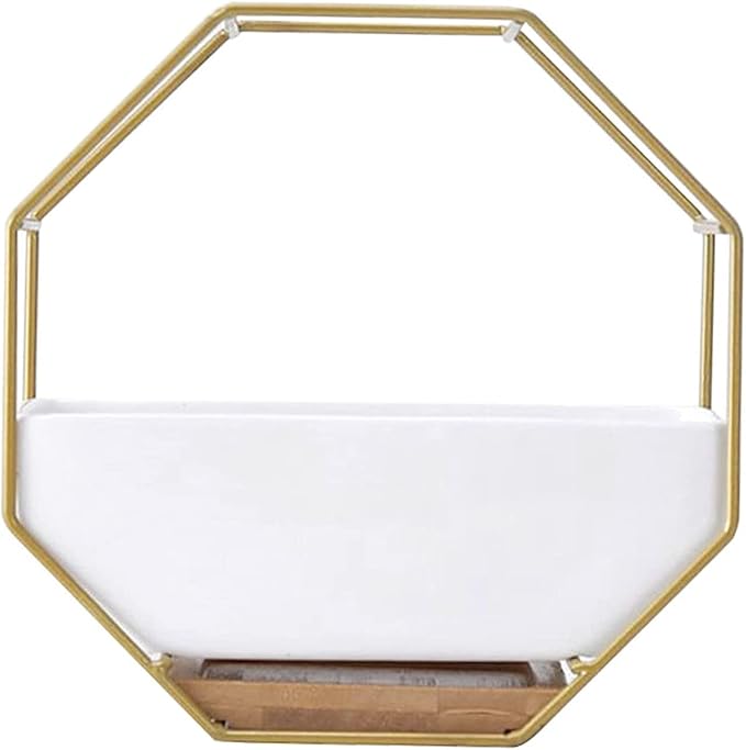 Modern Wall Planter Metal Wire Octagon Design Wall-Mounted Shelves with Ceramic Flower Pot Geometric Hexagon Wall Decor (Color : Golden)