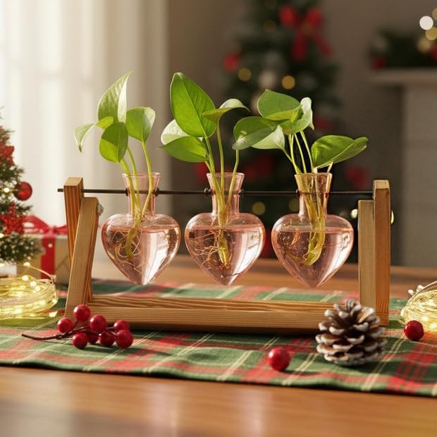 XXXFLOWER Glass Plant Mister Spray Bottle+ Plant Terrarium Propagation Stations
