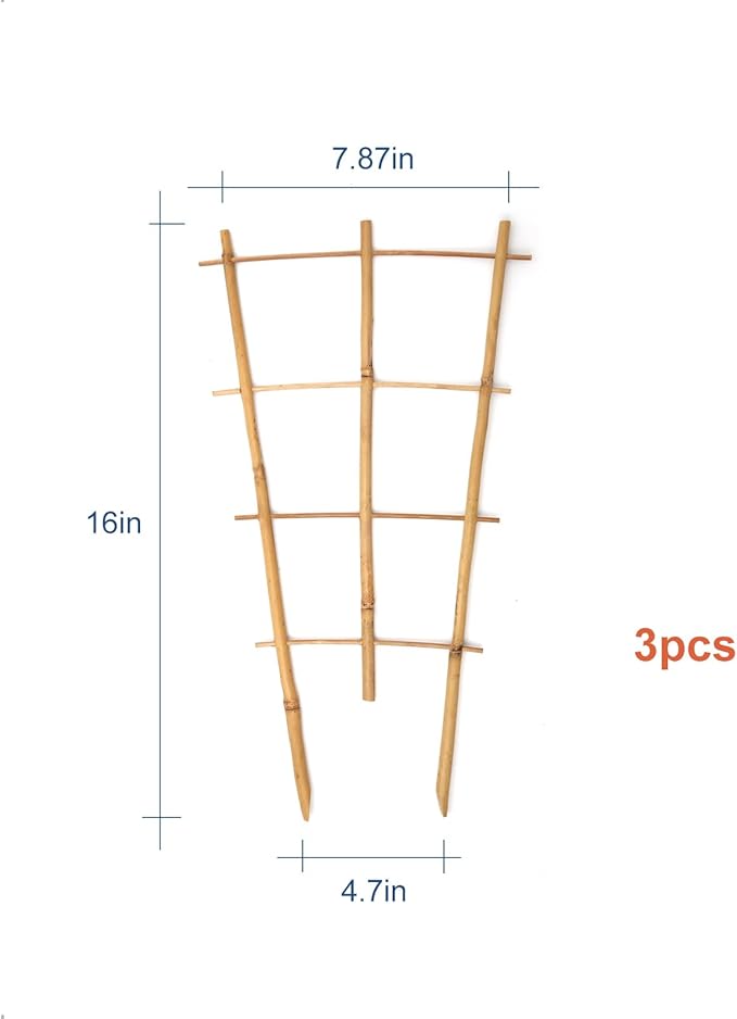 COLOtime 3Pack Bamboo Trellis 16 Inch Fan Shaped Small Plant Trellis for Indoor Potted Plants Climbing Monstera Orchid Vine Hoya Houseplant