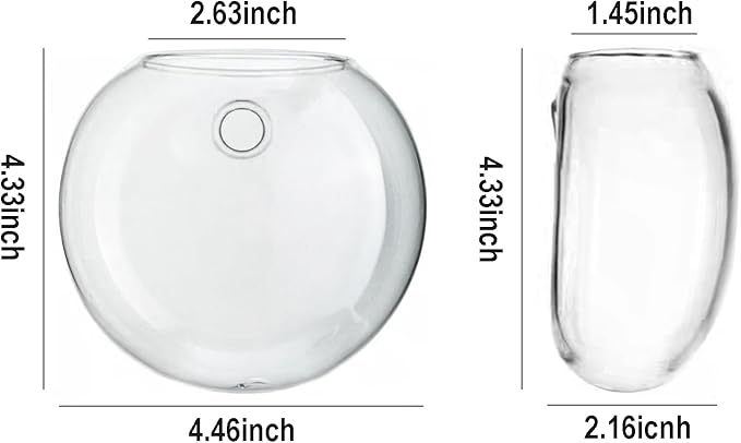 Wall Hanging Planter Propagation Station, Oblate Glass Flower Vase for Propagation, Wall Planter for Indoor Plants, Modern Home Office Corridor Bathroom Decor (4)