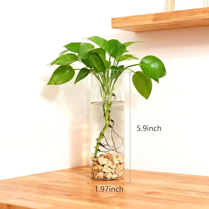 Wall Planters for Indoor Plants, 4 Pack Glass Wall Planters for Propagation, Hanging Terrarium Planters with Hooks for Hydroponic Plants, Flowers, Home Office Bathroom Decor