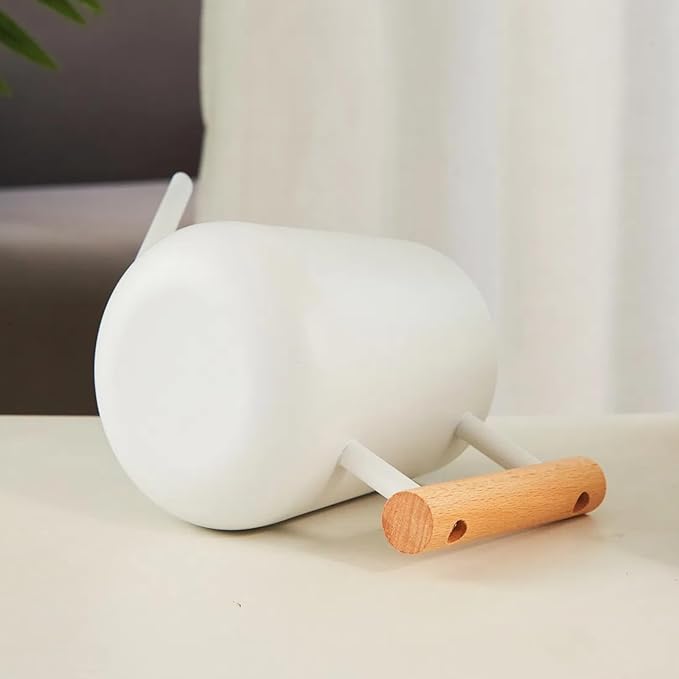 Indoor Watering Can with Long Spout, 34oz Capacity, White Metal with Wood Handle (White-Z1)