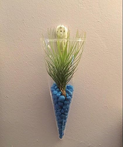 Kingbuy Levitating Glass Planter for Succulents & Hydroponic Plants - 2 Pack Cone-Shaped Wall Vases Floating Terrarium Planters Wall Mount for Indoor Home Office Kitchen Decor (Medium)