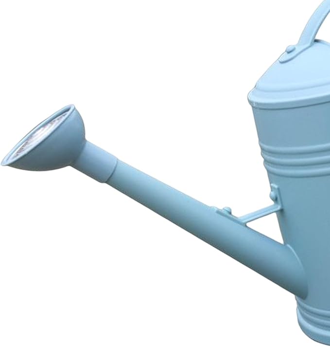 Baoblaze Watering Can Indoor Plants with Detachable Sprinkle Head 1.8L Lightweight er Watering Can Long Spout Watering Can for Plants Bonsai, Blue