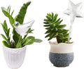Yahpetes Automatic Watering Globe Plant Watering Globes Plastic Watering Bulbs Waterer Flower Water Drip Irrigationdevice Self Watering System (Bird+Star)