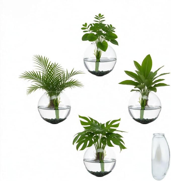 4 pcs Glass Wall Hanging Planter, Oval Terrarium Vase, Propagation Station for Hydroponics, Indoor Plants, Home Office Decor (Medium)