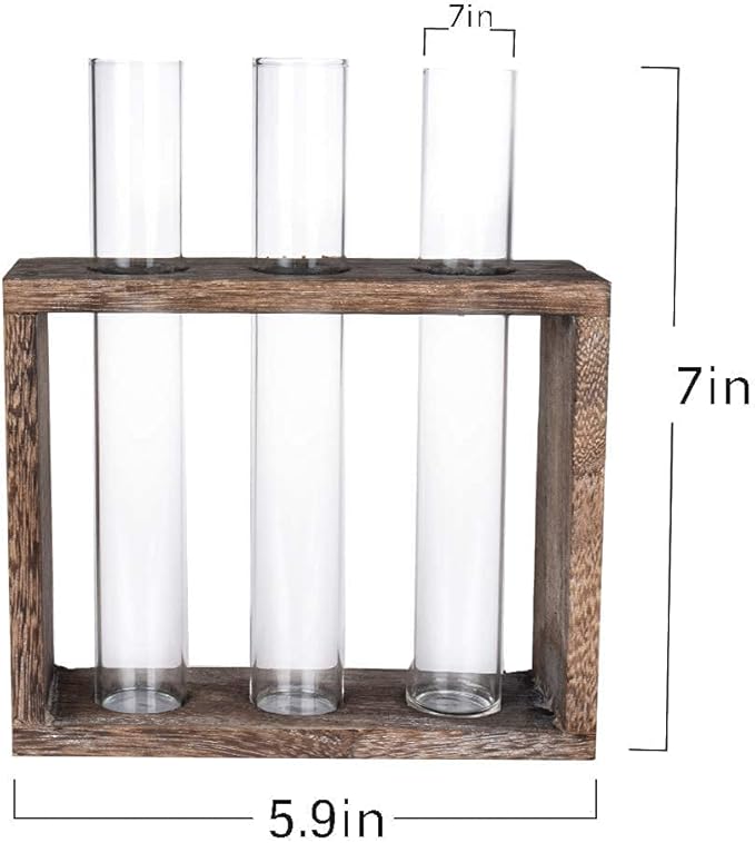 Wall Mounted Hanging Glass Test Tube Planter Propagation Station Glass Vase Rack with Wood Stand, Plant Terrarium Holder for Hydroponics Succulent Air Bamboo Plants with Test Tube