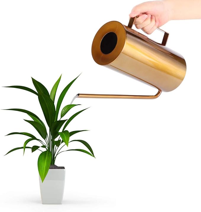 Watering Can 50oz/1.5L Stainless Steel Long Spout House Bonsai Plants Garden Pot Flower Watering Can Irrigation Tool(Gold)