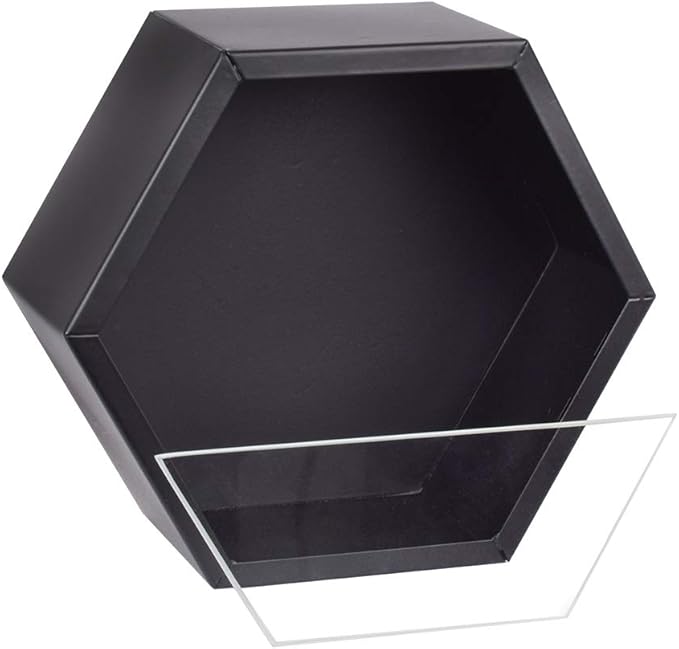 Hanging Hexagon Planter Wall-Mounted Flower Pot Hanging Basket Metal Vase Air Plant Holder Vintage Flower Pot Geometric Planter Succulent Cactus Container (S,Black)