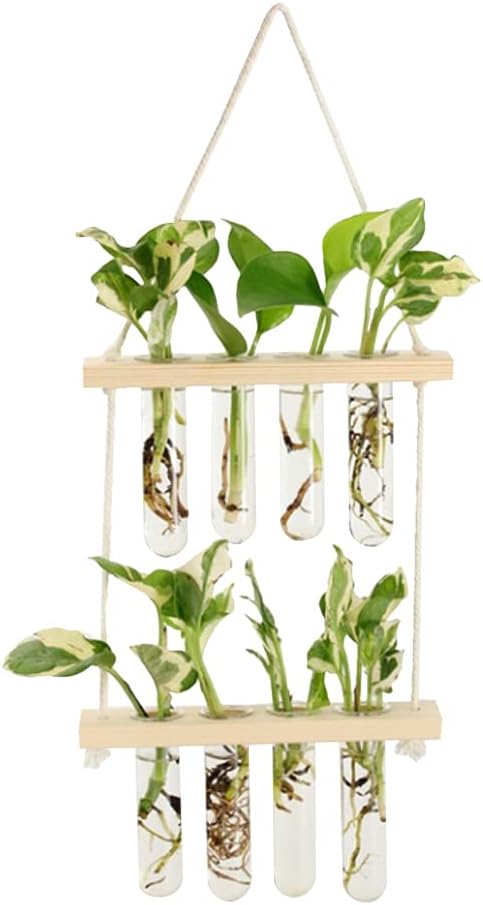 Wall Hanging Planter, 2 Tiered Plant Propagation Stations Plant Terrarium with Wooden Stand, Glass Planter Test Tube Vase for Propagating Hydroponic Plants Home Office Garden Decor (Wood Color)