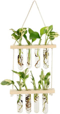 Wall Hanging Planter, 2 Tiered Plant Propagation Stations Plant Terrarium with Wooden Stand, Glass Planter Test Tube Vase for Propagating Hydroponic Plants Home Office Garden Decor (Wood Color)