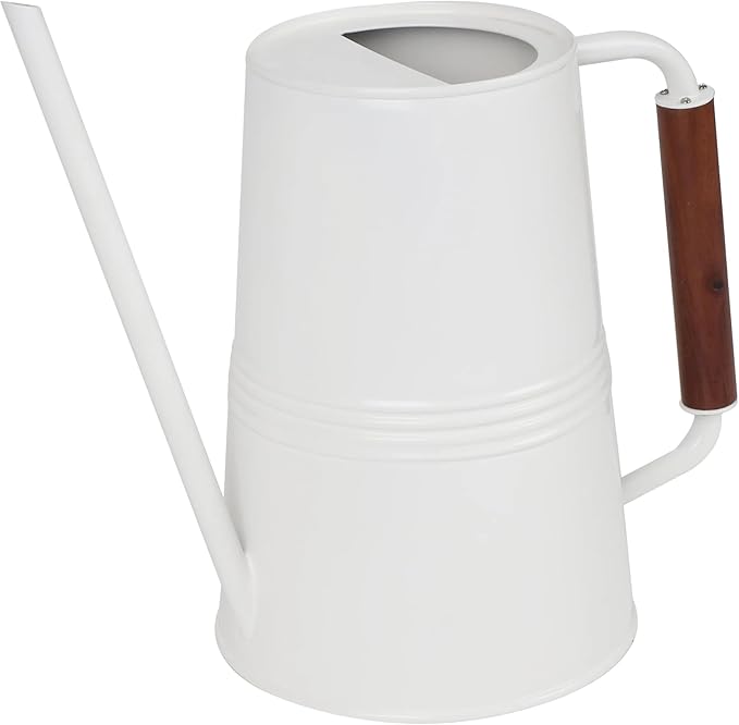 Metal Watering Can with Long Spout & Wooden Grip Handle,1 Gallon,White