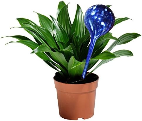 5 STAR SUPER DEALS Aqua Plant Watering Globes - Automatic Watering Ball Bulbs - Self Watering Plant Glass Bulbs System (16, Small)