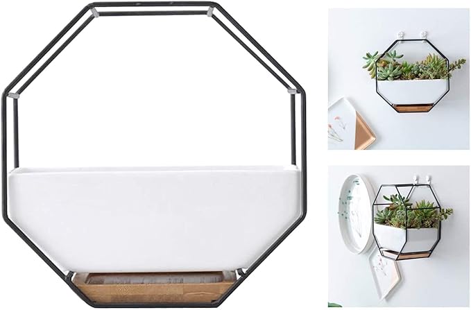 Modern Wall Planter Metal Wire Octagon Design Wall-Mounted Shelves with Ceramic Flower Pot Geometric Hexagon Wall Decor (Color : Black)