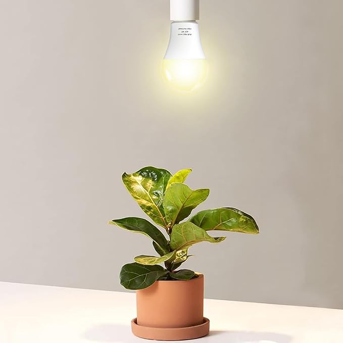 6 Pack Full Spectrum Grow Light Bulbs,A19 Grow Lights for Indoor Plants,Dimmable E26 9W Grow Bulb Replace up to 100W,Plant Lights for Indoor Growing,Flowers,Greenhouse,Indore
