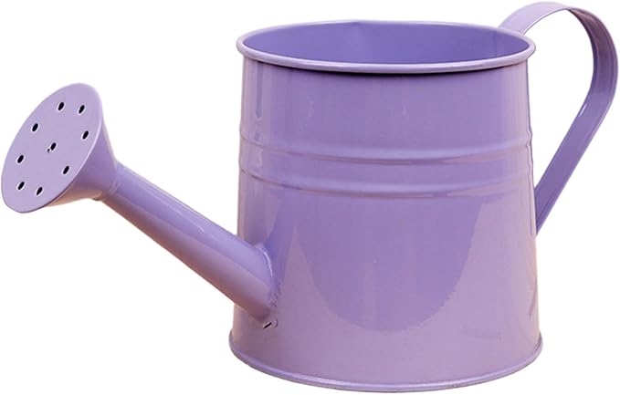 1.6L Watering Can for Indoor Outdoor Plants, Modern Small Watering Cans, Metal Flower Watering Can, Long Spout Watering Can-Colorful Plant Waterer for Indoor Bonsai Plants Garden Flowers (Purple)