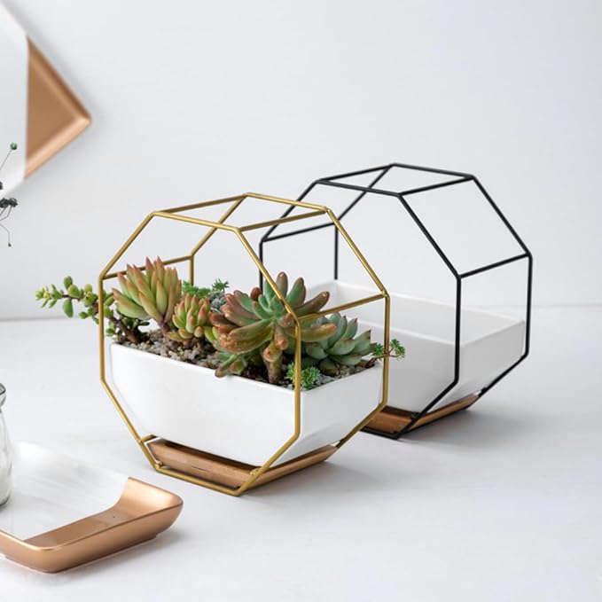 Wall Planter Geometric Succulent Wall-Mounted Decor with Ceramic Flower Pot Hanging Vase Desktop Succulents Planter, Nordic Style Flower Pot, Standard
