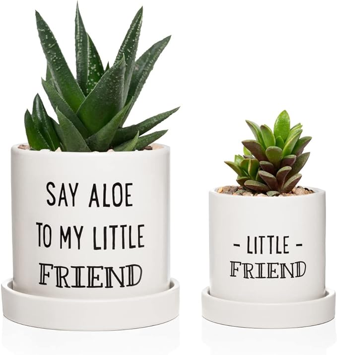 Aloe Pot and Succulent Planter - Set of Two - Funny Housewarming Gift - Plants Not Included