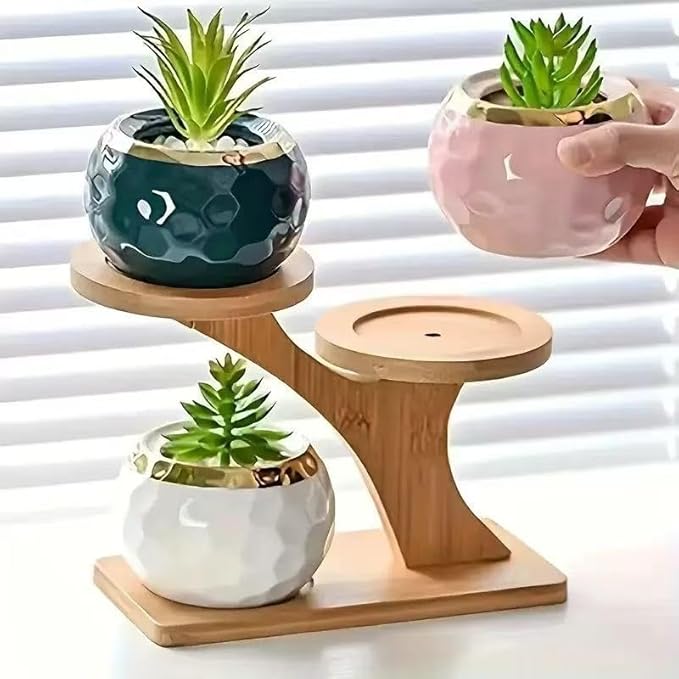 2-Tier Bamboo Plant Stand, Small Indoor Plant Holder for Desk, Multi Layer Flower Pot Display Shelf for Succulents, Cactus & Small Plants, Natural Wood Decorative Planter Rack
